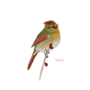 Handmade painted Female Cardinal T-Shirt