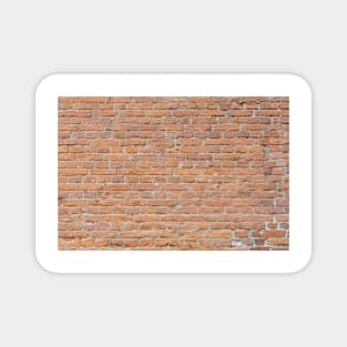 Old worn brick wall Magnet