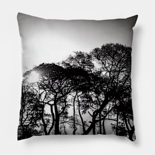 Sunbeam Through Trees Silhouette Pillow