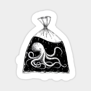 octopus Magnet