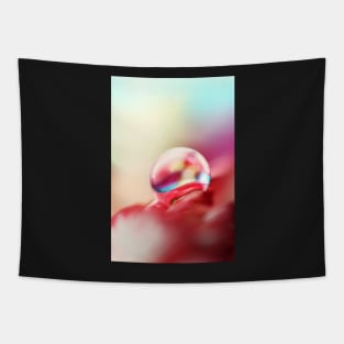 Dreamy Droplet Tapestry