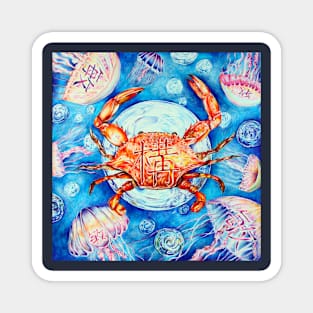 a crab and jellyfish Magnet