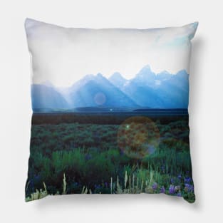 Day Dream Pillow