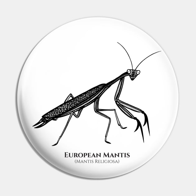 Praying Mantis with Common and Latin Names - on white Pin by Green Paladin