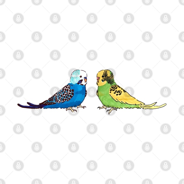 Budgie - blue mutation and recessive pied by CMCdoodles