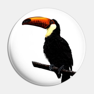 Toco toucan Pin