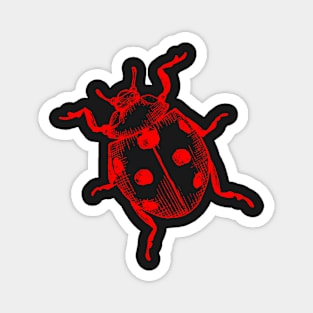 Ladybug Neon Red Insect Black Design Art Magnet