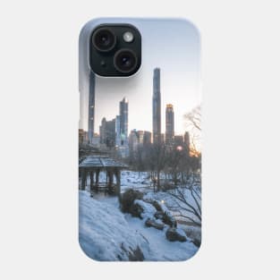 Central Park Winter 2 Phone Case