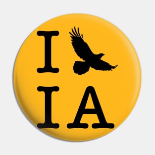 I Hawk Iowa Pin