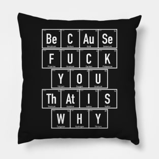 Chemistry - Because Fuck You That is Why - Periodic Table Pillow