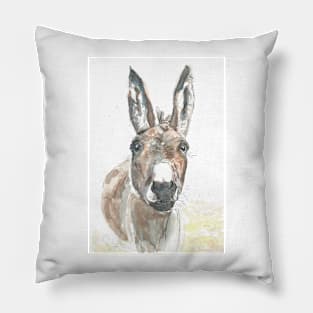 Donkey portrait. Pillow