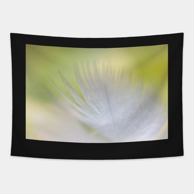 doux comme une plume Tapestry by gracethescene