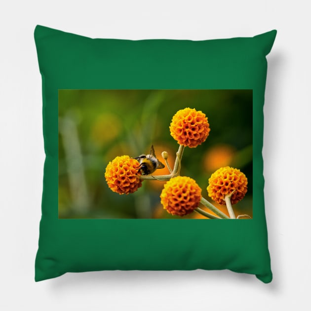 Busy bee on buddleia Pillow by Violaman