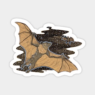 Bat Flight Magnet