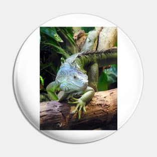 Green Iguana Pin