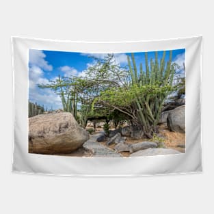 Pathway Around Boulders and Cacti Aruba Tapestry