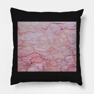 Texture pink stone structure Pillow