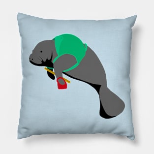 ManaTeacher Pillow