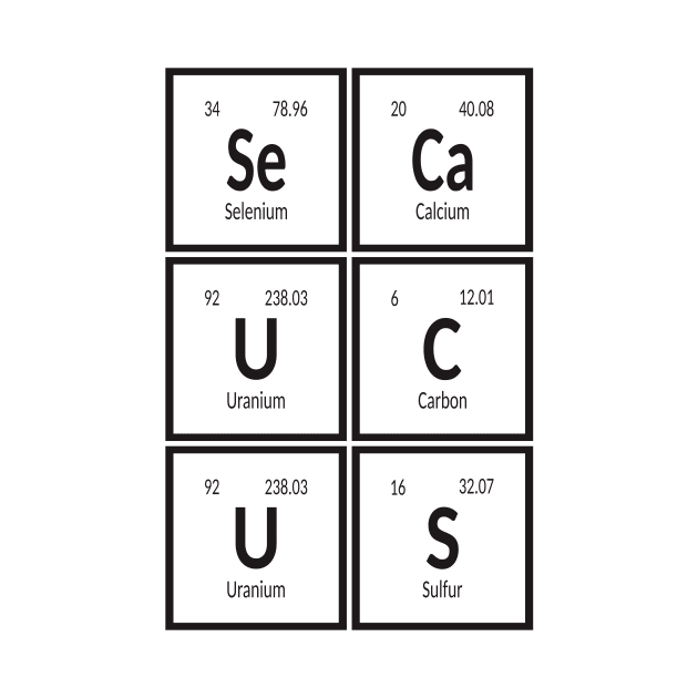 Town of Secaucus | Periodic Table of Elements by Maozva-DSGN