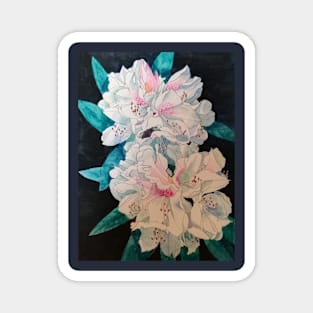 Pink rhodedendron watercolour painting Magnet