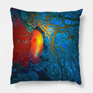 Red Snapper in Red Coral Pillow