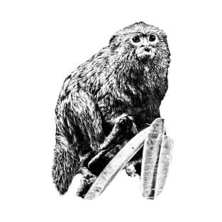 Marmoset T-Shirt