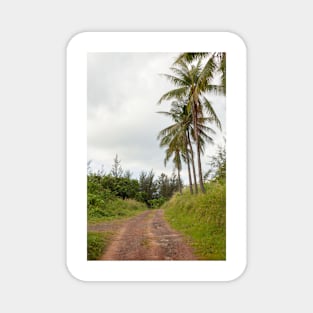 Small dirt road and plam trees in Borneo countryside Magnet