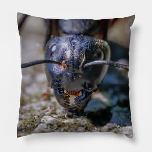 Happy Ant. Macro Photograph Pillow