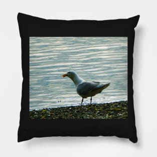 Seagull Pillow