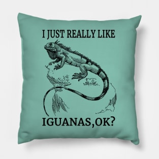 I Just Really Like Iguanas, Ok? Cool Reptiles Fan Pillow