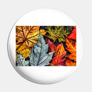 The colors of autumn II Pin