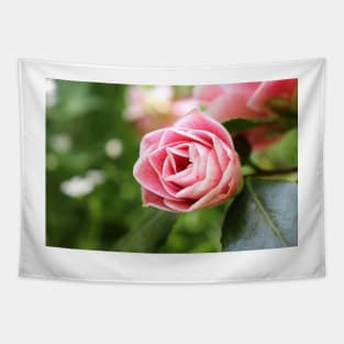 Pink Striped Rose Tapestry