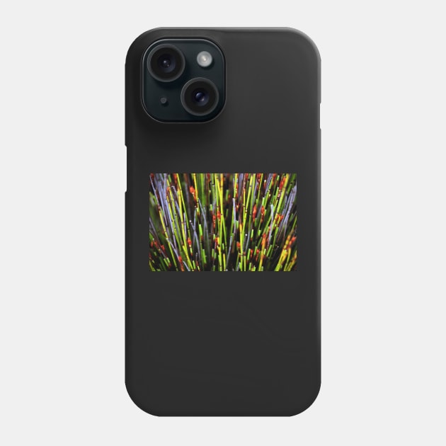 Plants of the Fynbos, Cape Reed Grass Phone Case by Carole-Anne