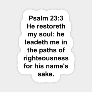 Psalm 23:3  Magnet