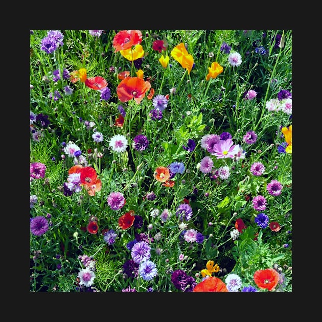 painterly wildflowers 1 by bettyretro