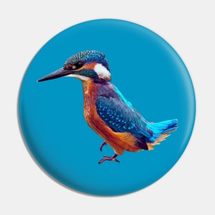 Common kingfisher Pin