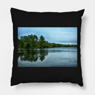 A View Of The Lake Pillow