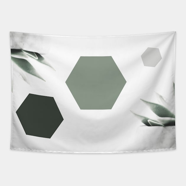 Succulents and hexagons Tapestry by hedehede