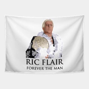 Ric Flair Tribute - dusty rhodes wrestling wwe macho man stone cold steve austin nwo bret hart razor ramon andre the giant four horsemen Tapestry