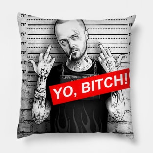 Jesse Pinkman You knew this would happen Pillow