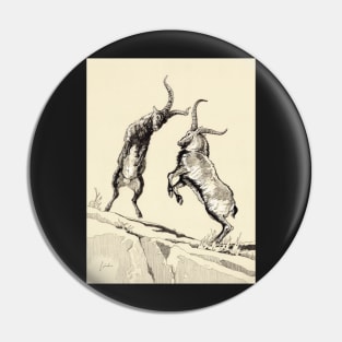 Capra Ibex fight Pin