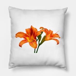 Orange Lilies Pillow