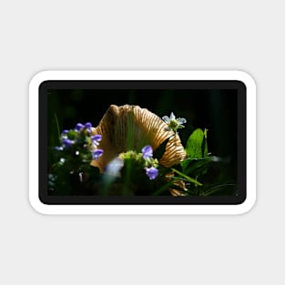 Back-Lit Mushroom Cap With Flowers Magnet