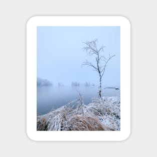 Calm lake landscape at winter Magnet