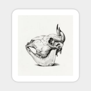 Cow Skull Magnet