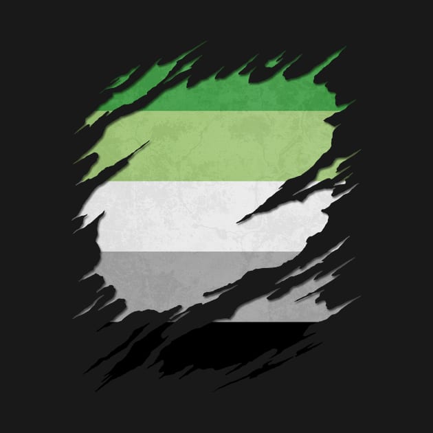 Aromantic Pride Flag Ripped Reveal by wheedesign