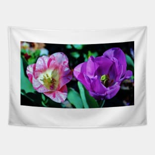 Two Tulips Tapestry