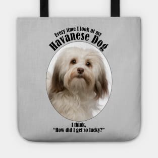 Havanese Dog Traits Tote