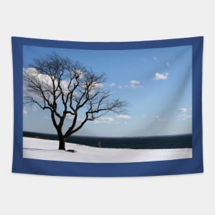 Lonely Winter Beach Scene Tapestry