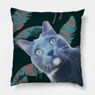 Summer of Roger the Cat Moody Palm Leaf Pillow